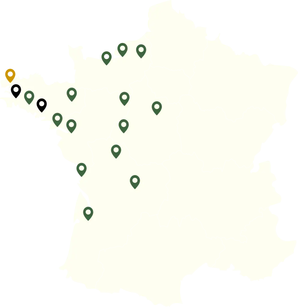 carte franchises si ristorante